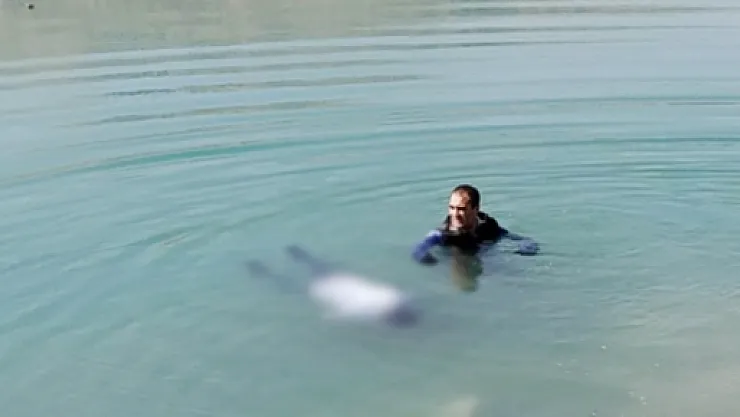 Gölette erkek cesedi bulundu