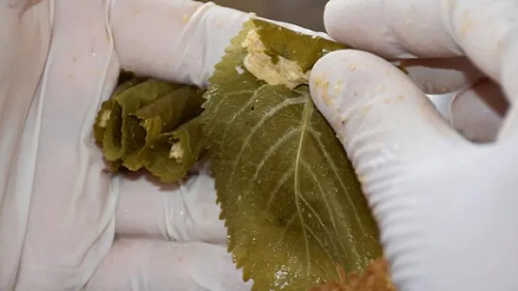 Kiraz yaprağı sarmasına coğrafi tescil belgesi verildi