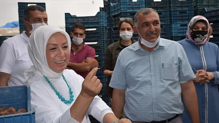 TMO kayısı alacak! Çalık müjdeyi üreticiye bizzat kendisi verdi