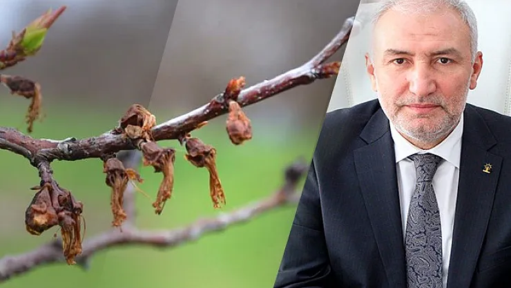 Monilya için ödemeler başladı! Kahtalı 'Gecikmenin sebebi bürokrasinin hantallığı'