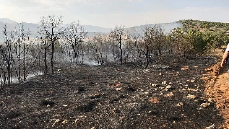 Ormanlık alandaki yangın imece usulü söndürüldü