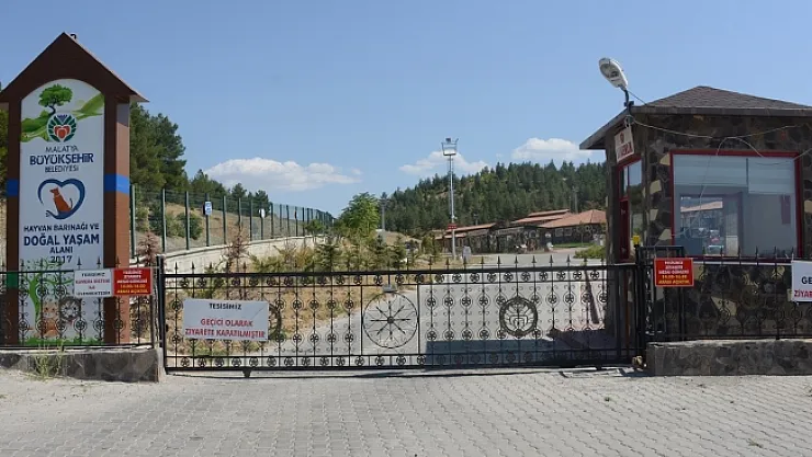 Sokak hayvanlarına şefkat eli