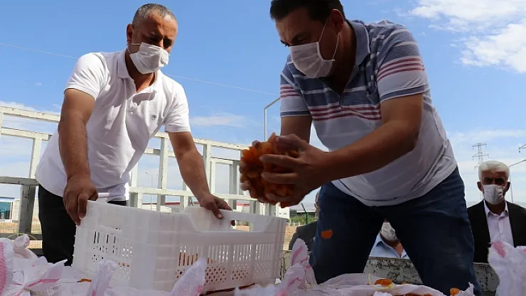 TMO ilk kayısı alımını yaptı