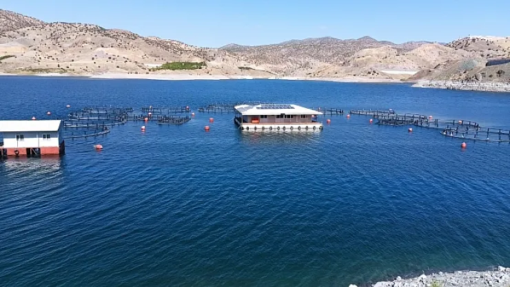 Denizi olmayan Malatya'dan 11 ülkeye balık ihracatı!