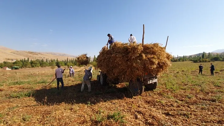 Doğanşehir fasulyesi Esenlik'te tüketici ile buluşacak