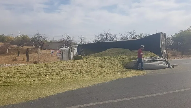Malatya'da mısır silajı yüklü TIR devrildi! Karayoluna saçıldı!