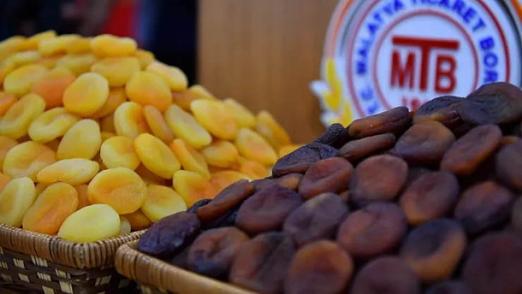 Kayısıda ihracat azaldı, gelir yükseldi! 10 ayda 207 milyon dolar!