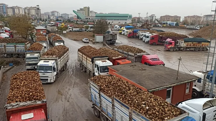 Malatya Şeker Fabrikası'nda büyük başarı! 520 bin ton pancar işlendi!