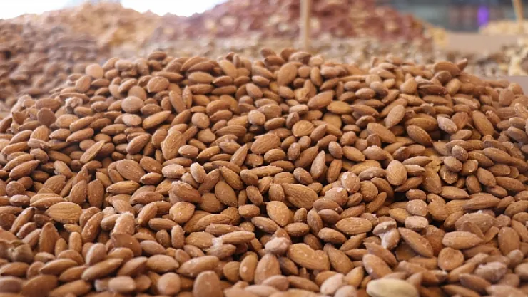 Malatya'ya müjde! AB coğrafi işaret belgesi alan kayısının çekirdeği de tescillendi