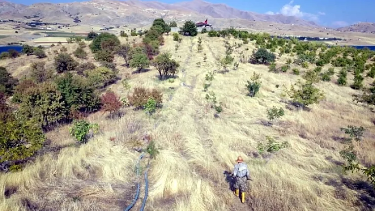 Sıra dışı hayat hikayesi... Eşini kaybetti, kendini ağaçlara, doğaya adadı