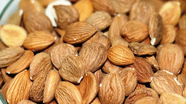 Kayısının çekirdeği de şifa deposu! Eğer günde 10 tane yerseniz…