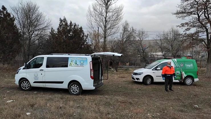 Köpek dövüştüren şahsa 26 bin TL para cezası