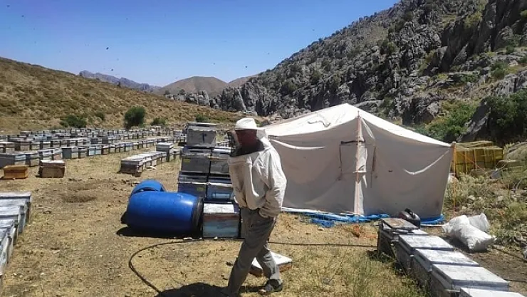 Malatya'da arıcılık ve ipekböcekçiliğine destek