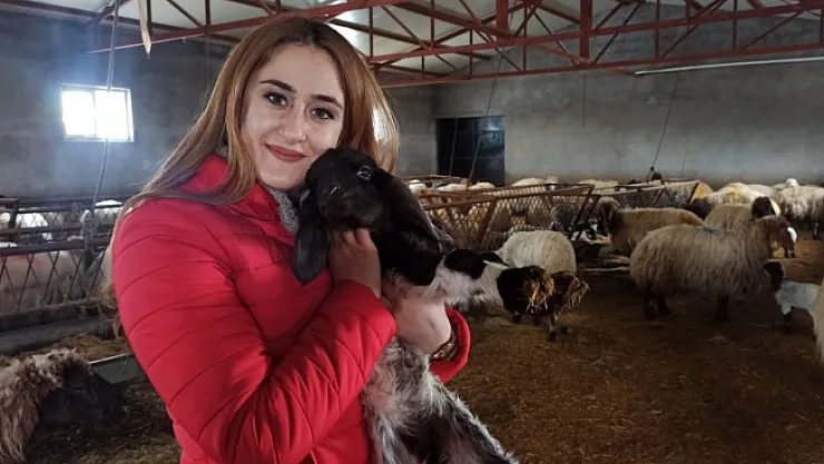 Malatya'da yılın ilk kuzuları dünyaya geldi