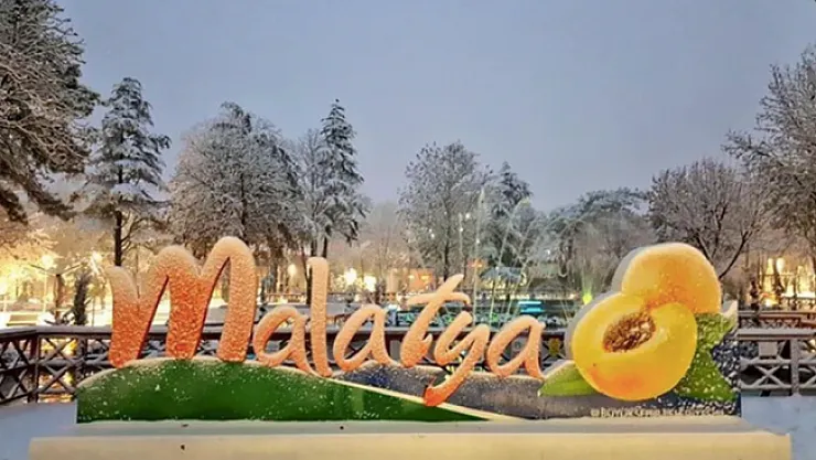 Malatya'da bir yılda 138 aile içi şiddet olayı yaşandı