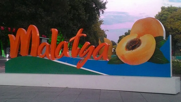 İhracatta kayısı önde