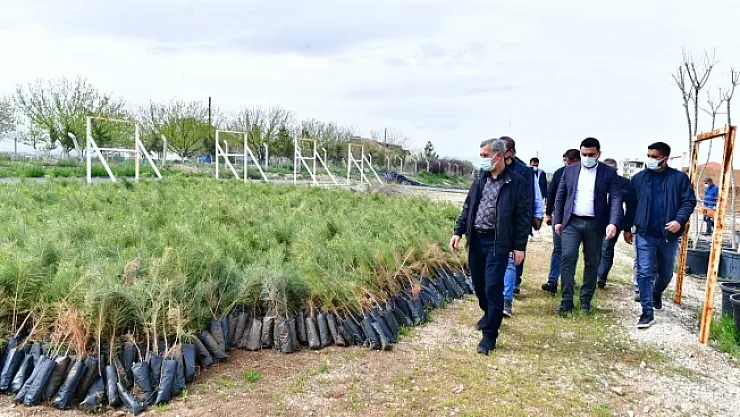Çınar, Tepeköy fidanlık alanında ki çalışmaları inceledi