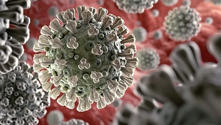 Pandemide son durum! Vaka sayısında korkutan artış