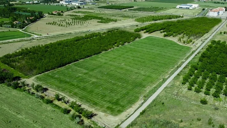 Battalgazi Belediyesi 'rulo çim üretim tesisi' kurdu