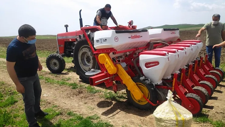 Malatya'da kayısıya alternatif: Kabak