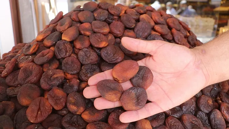 Malatya'da kuru kayısı ihracatı yüz güldürüyor