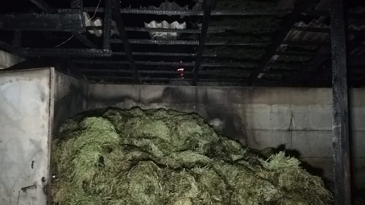 Akaryakıt istasyonu yakınında çıkan ahır yangını ucuz atlatıldı