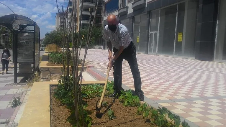 Kısıtlamayı fırsat bildi, apartman önünü hobi bahçesi yaptı