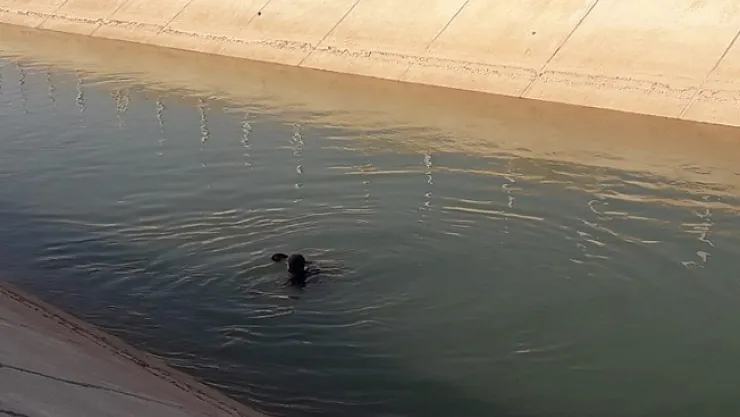 Malatya'da sulama kanalına düşen engelli çocuk öldü!