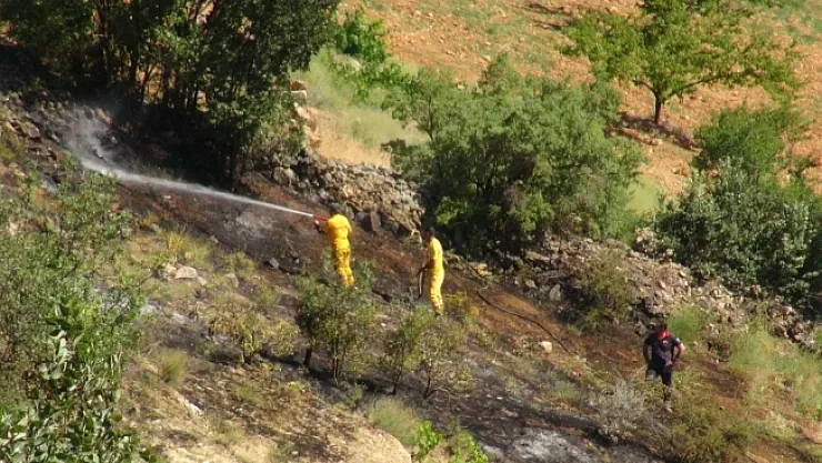 Örtü yangınında badem fidanları zarar gördü