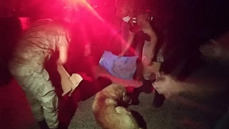 Silahla vurulan köpeğe jandarma sahip çıktı