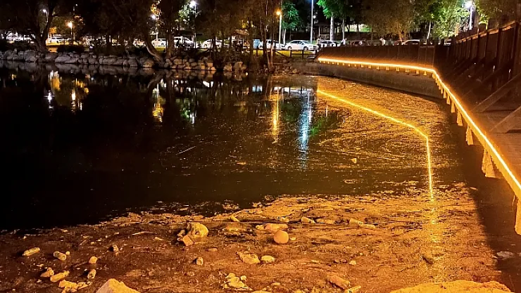 Turgut Özal Tabiat Parkı Gölü çöplere teslim oldu