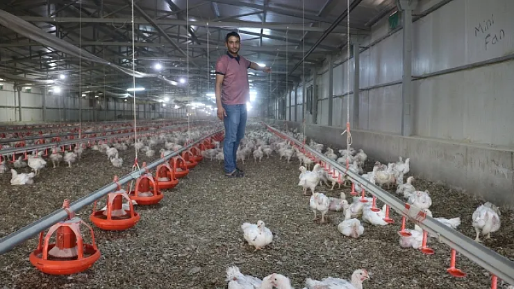 Akçadağ'da binlerce tavuk telef oldu