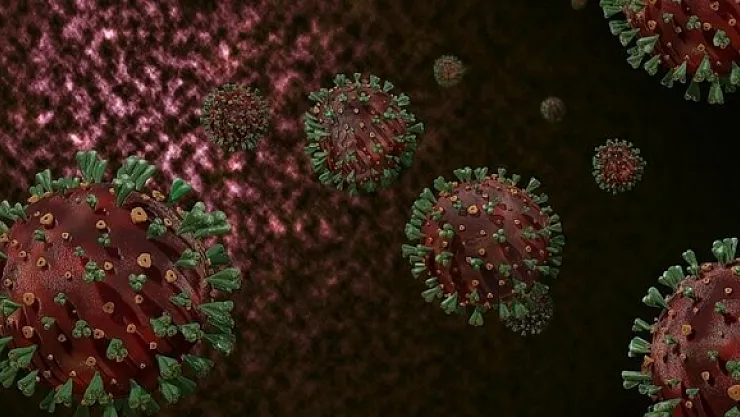 Bakan Koca açıkladı: Delta saptanan vaka 750'leri buldu