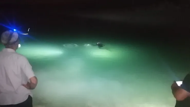 Kemaliye'de baraj gölüne düşen genç öldü, Büyükşehir dalgıçları cesedi çıkardı