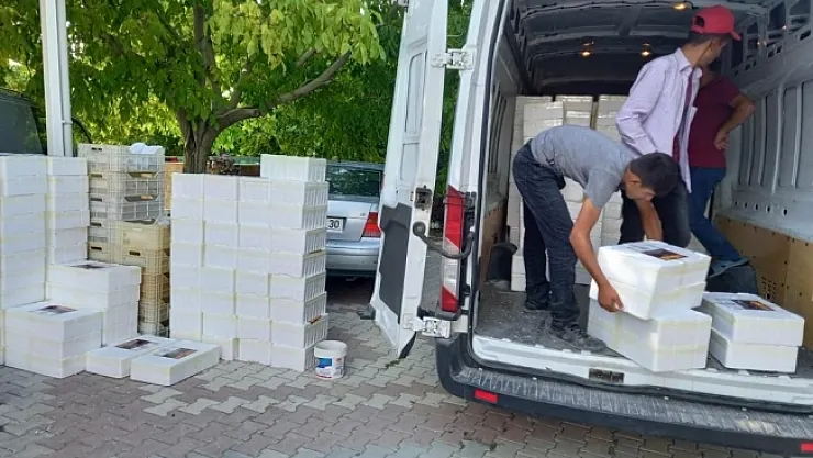 Malatya'dan il dışına koli koli hediyelik kayısı