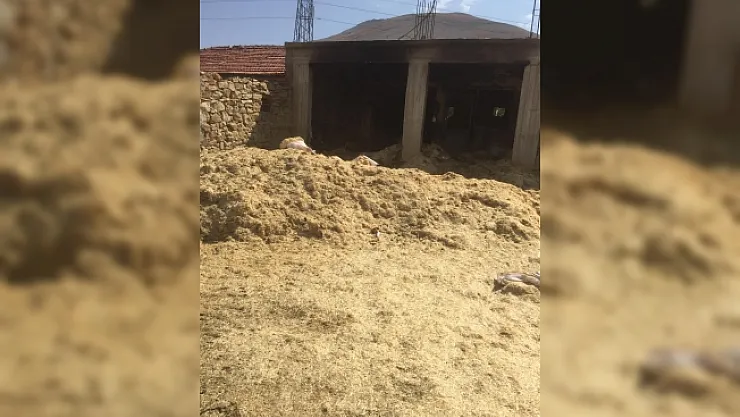 Ahırda korkutan yangın