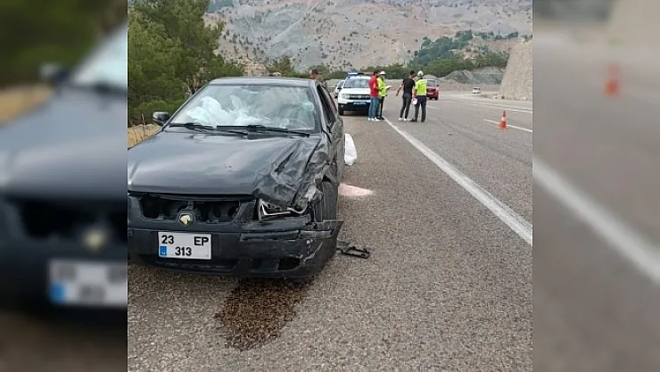 Doğanşehir'de 2 otomobil çarpıştı: 1 yaralı