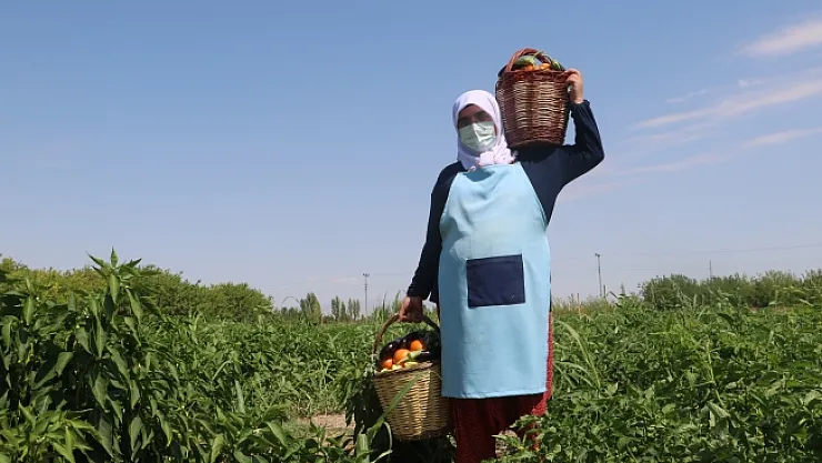 Kadınlar deprem ve Covid-19 stresini hasat yaparak atıyor