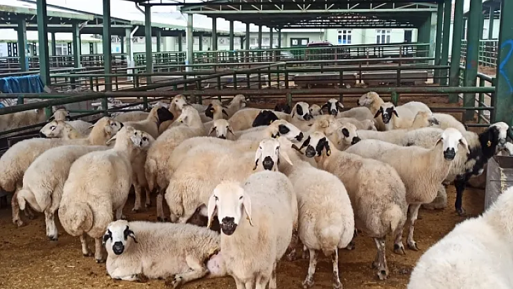 Kurbanlık hayvan parasını ödemeyenler aranıyor!