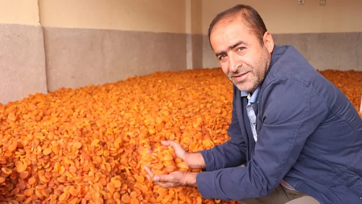 Ünü sınırları aştı, fiyatı rekor kırdı