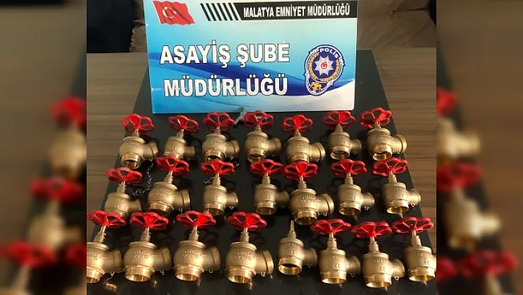 Vana çalan hırsızlar, çaldıklarıyla birlikte yakalandı