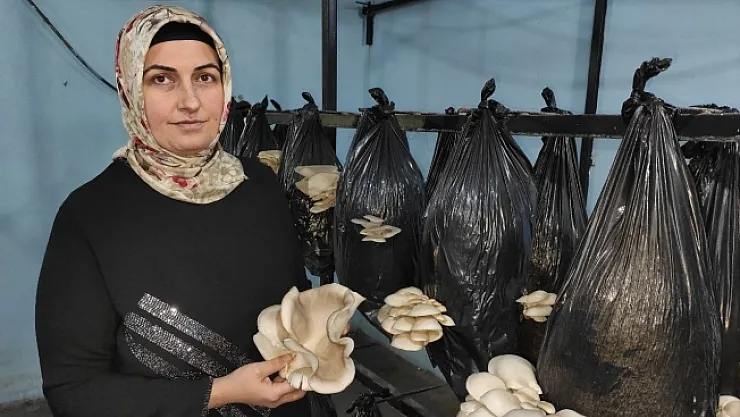 80 TL sermaye ile başladı şimdi 500 metrekare tesiste üretim yapıyor