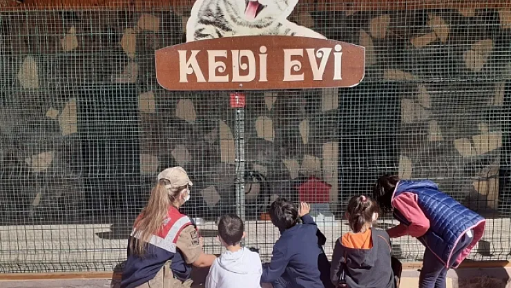 Down sendromlu çocukların hayvan ilgisi