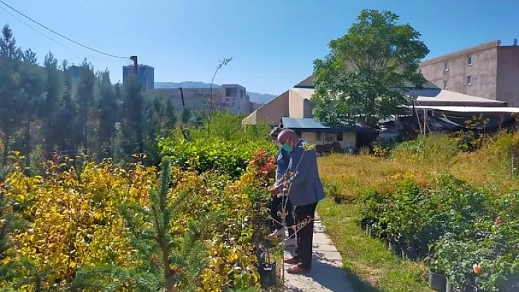 Malatya'da "şarka virüsü" alarmı
