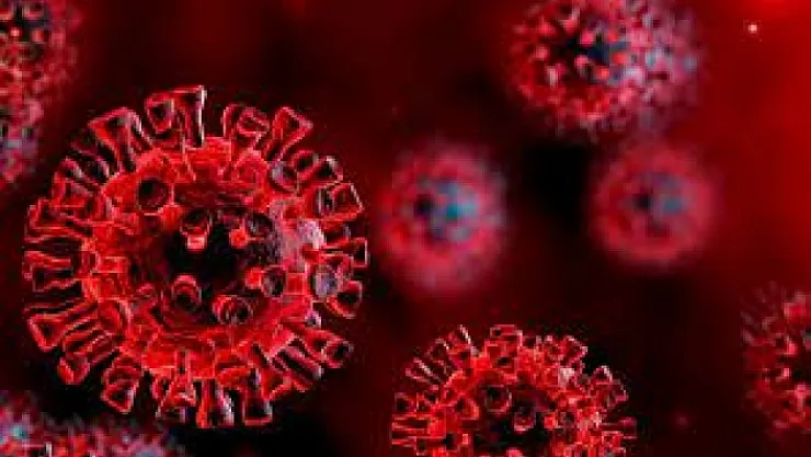 Prof. Dr. Uğur Günel'den Covid-19 geçirenlere uyarı!