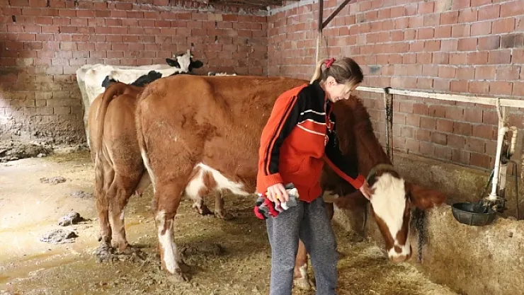 Kadının azmi... Hayvancılık ile ev bütçesine katkıda bulunuyor
