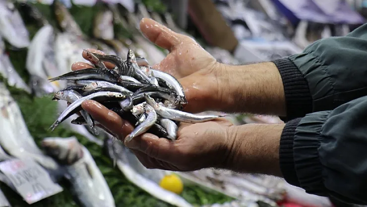 Malatya'da havalar soğudu, balığa talep arttı