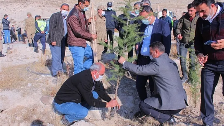 Malatya'nın ilçeleri de yeşilleniyor