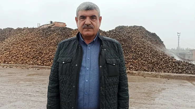 Şeker fabrikası 2 ayda 270 bin ton pancar aldı! Hedeflenen miktar daha da yüksek…