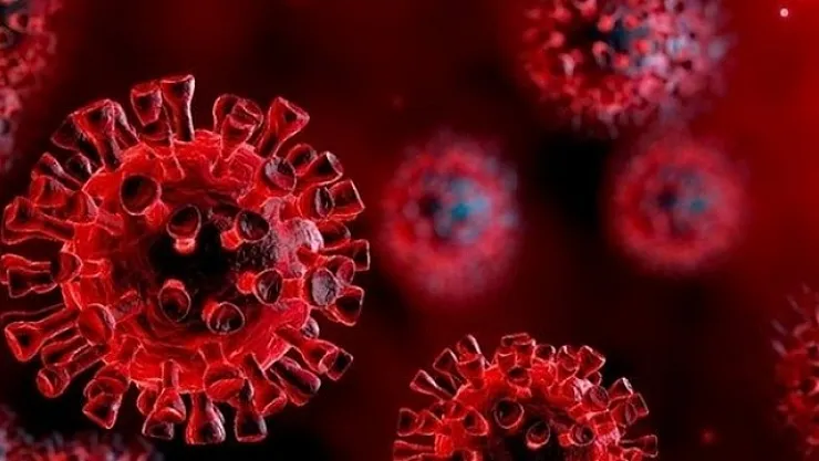 Son 24 saatte korona virüsten 227 kişi hayatını kaybetti !